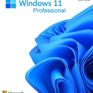 MICROSOFT WINDOWS