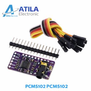 Player Module PCM5102